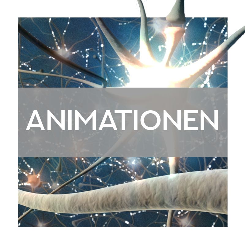 Animationen